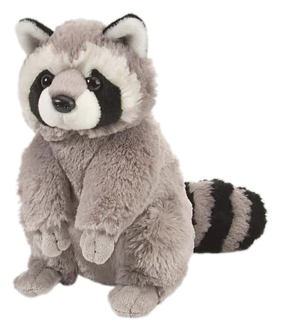 10943 CK RACCOON
