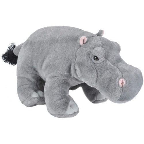 16620 CK HIPPO 12