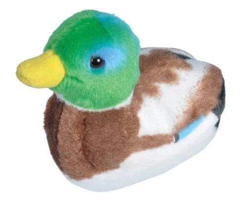 18241 AUD II MALLARD DUCK