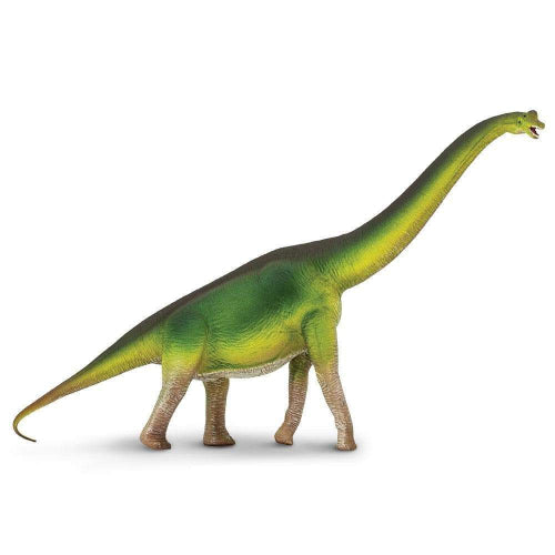 300229 BRACHIOSAURUS