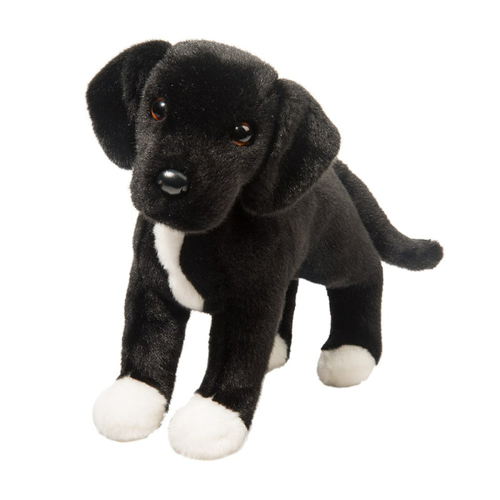 2024 TWISTER BLK LAB / PIT MIX