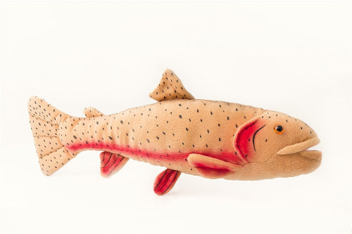 CC193 17' CUTTHROAT TROUT