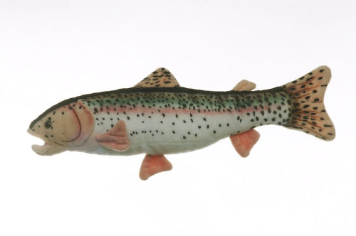 CC21 17" RAINBOW TROUT