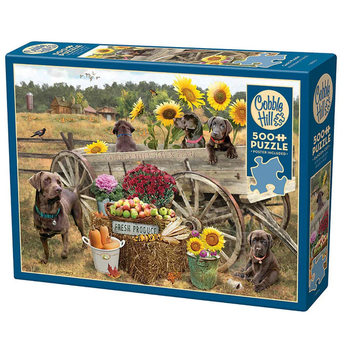 45096 CHOC WAGON