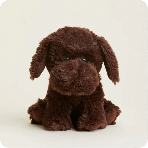 CP-LAB-C CHOCOLATE LABRADOR WARMIES
