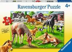 05175 HAPPY HORSES 60P