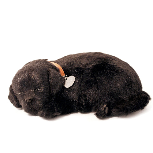 XP91-22 BLACK LAB