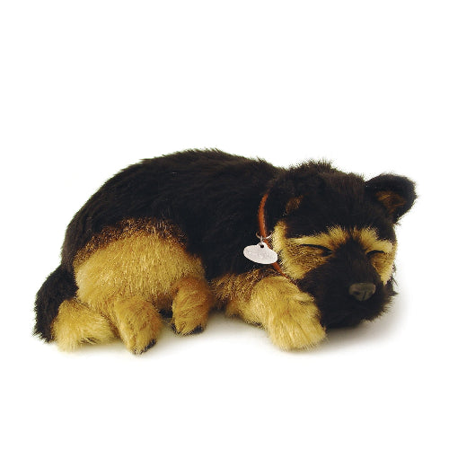XP91-12 GERMAN SHEPHERD