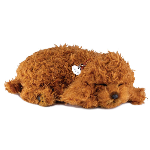XP91-40 TOY POODLE