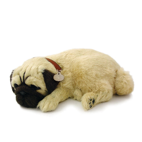 XP91-09 PUG
