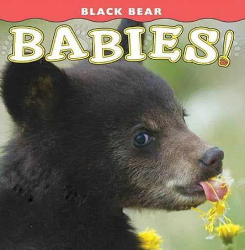 BLACK BEAR BABIES BB