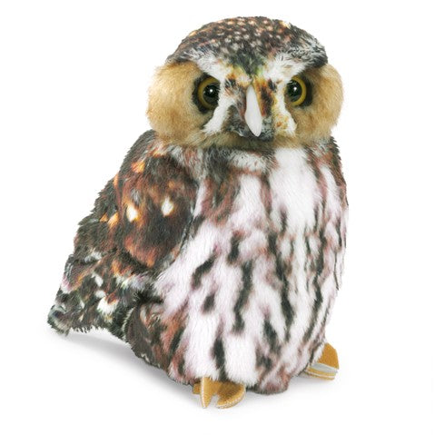 3195 PYGMY OWL