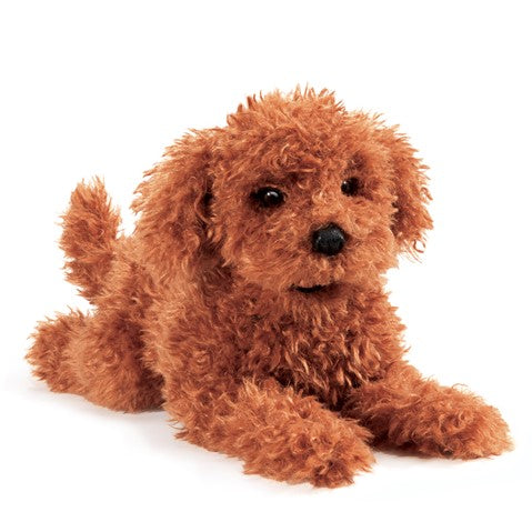 3206 TOY POODLE PUPPY