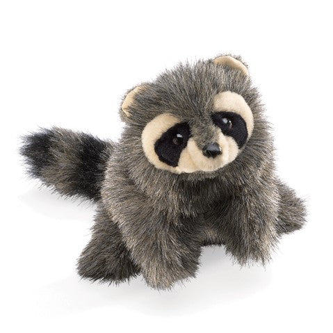 2238 BABY RACOON