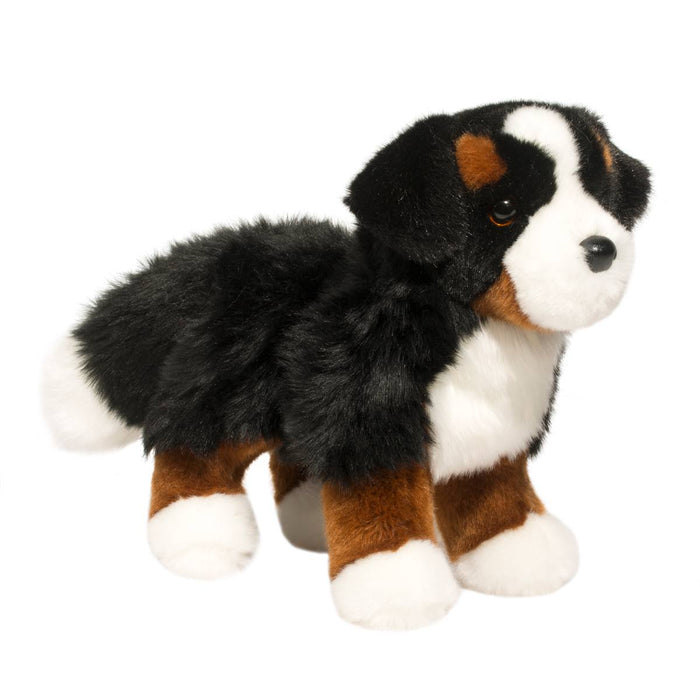 1710 STEVIE BERNESE DOG