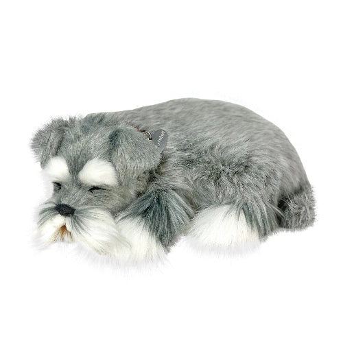 XP91-10 SCHNAUZER