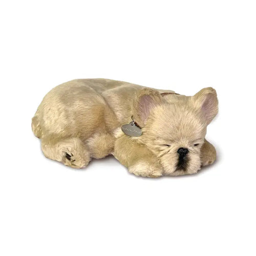 XP91-42 FRENCH BULLDOG