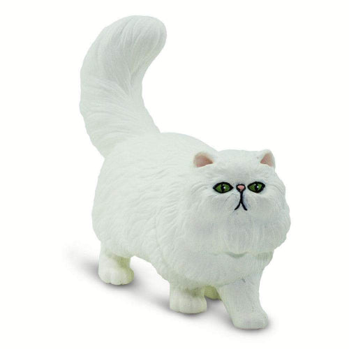 100203 PERSIAN CAT