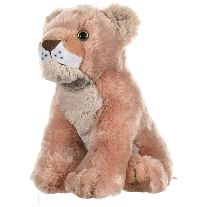 10911 CK LION CUB