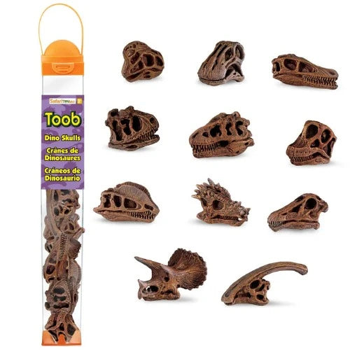 687404 DINOSAUR SKULLS TOOB