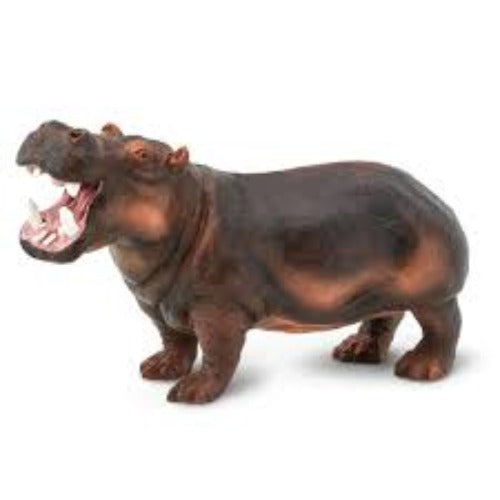 111889 HIPPOPOTAMUS (SAFARI)