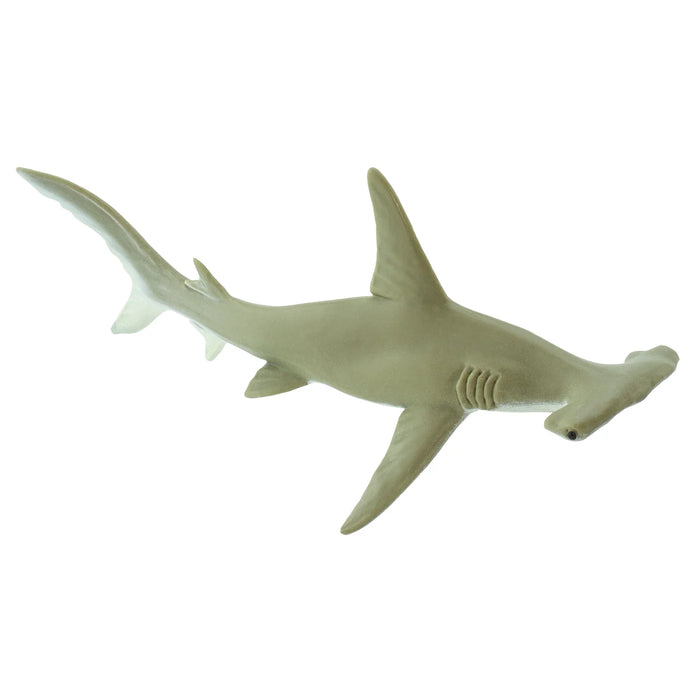 274829 HAMMERHEAD SHARK