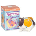 BLIND BOX MICRO KITTY S1