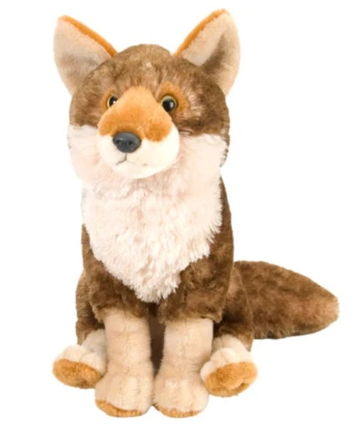 12235 CK COYOTE ADULT