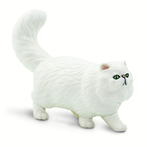 100203 PERSIAN CAT