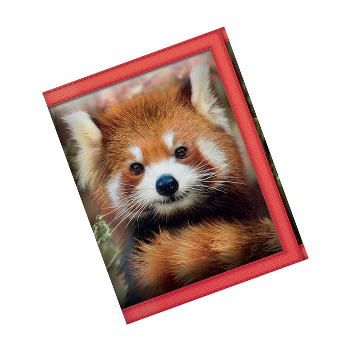 43557 3DLIVELIFE WALLETS-BABY RED PANDA