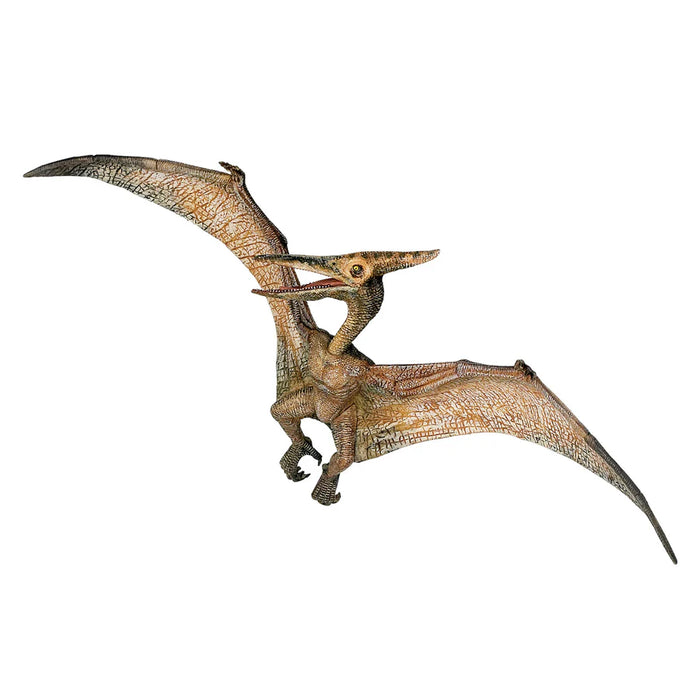 55006 PTERANODON (PAPO)
