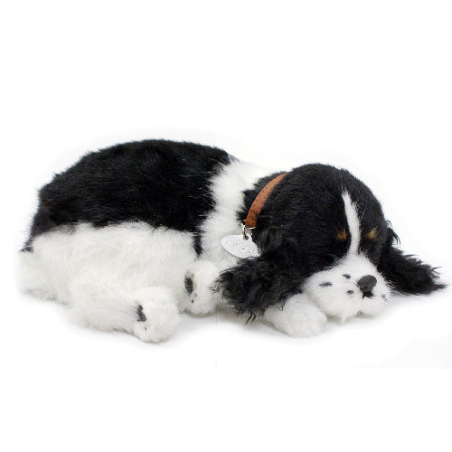 XP91-32 COCKER SPANIEL