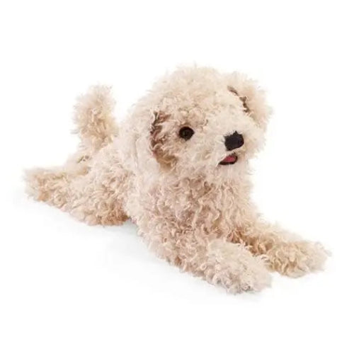 3241 WHITE POODLE PUPPY