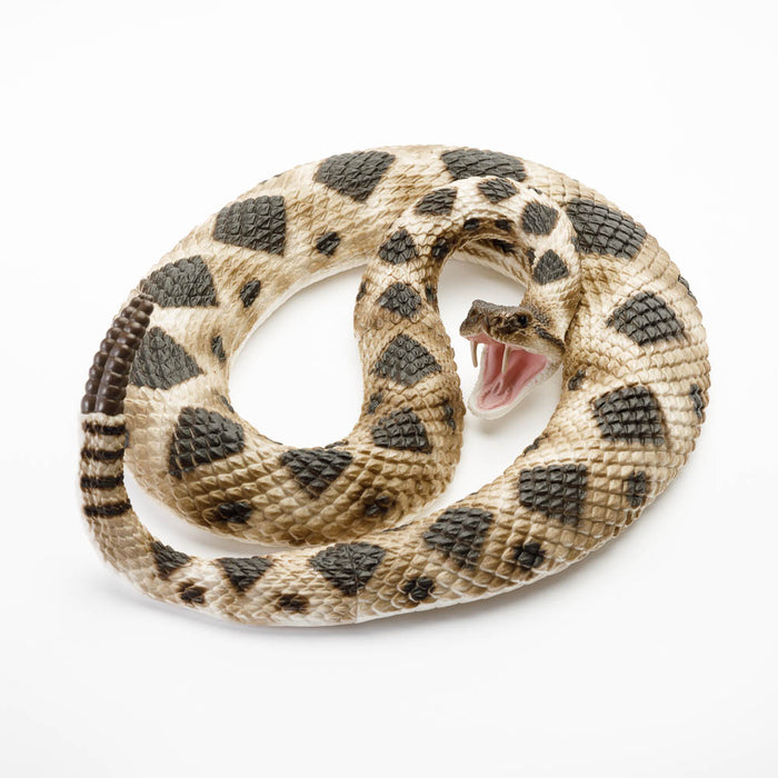 269329 EASTERN DIAMONDBACK RATTLESNAKE (SAFARI)
