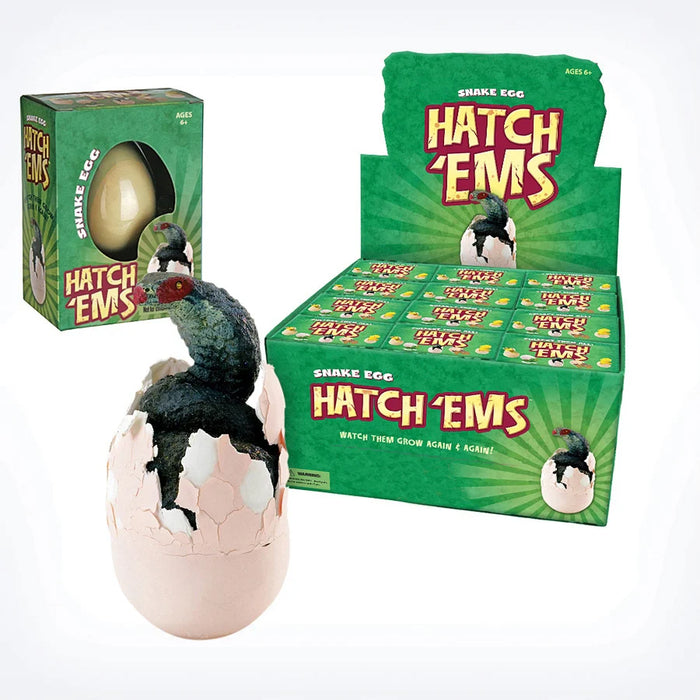 HESE HATCH'EMS SNAKE EGGS (12)
