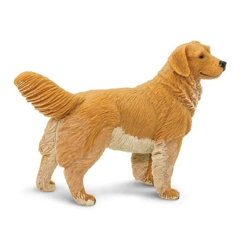 253129 GOLDEN RETRIEVER (SAFARI)