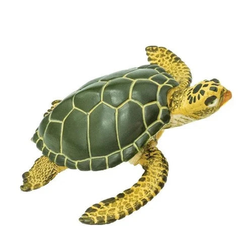 274329 GREEN SEA TURTLE (SAFARI)