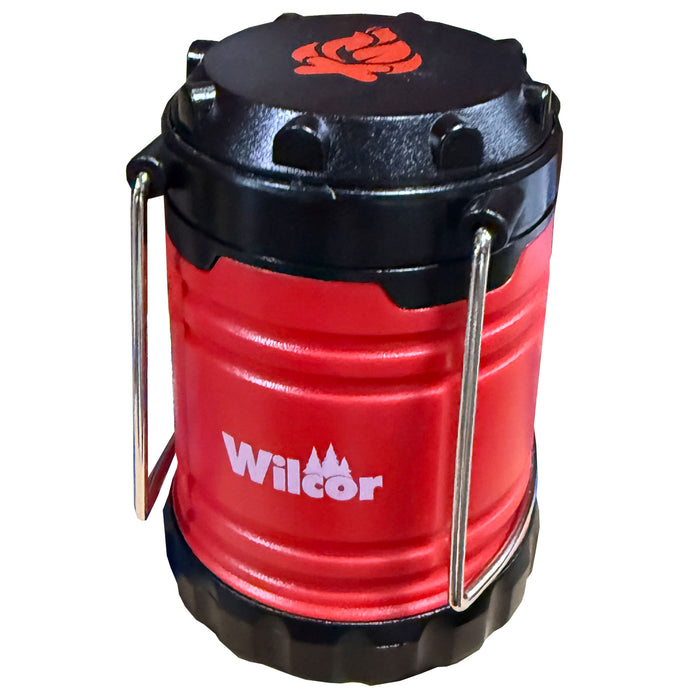 MSC2855 MINI COLLAPSE FLAME/LIGHT 9/DS