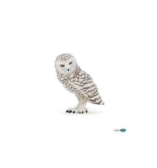 50167 SNOWY OWL (PAPO)